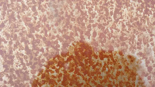 Patina Schutzanstrich - Restom®Protec Look 6100